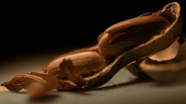 A Minnesota startup used CRISPR to remove three allergy-triggering proteins from peanut DNA | ©Image Credit: Unsplash / Lu