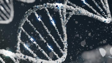 A massive new study suggests that DNA plays a significant role in shaping the personality traits that make us who we are | ©Image Credit: Unsplash / Sangharsh Lohakare
