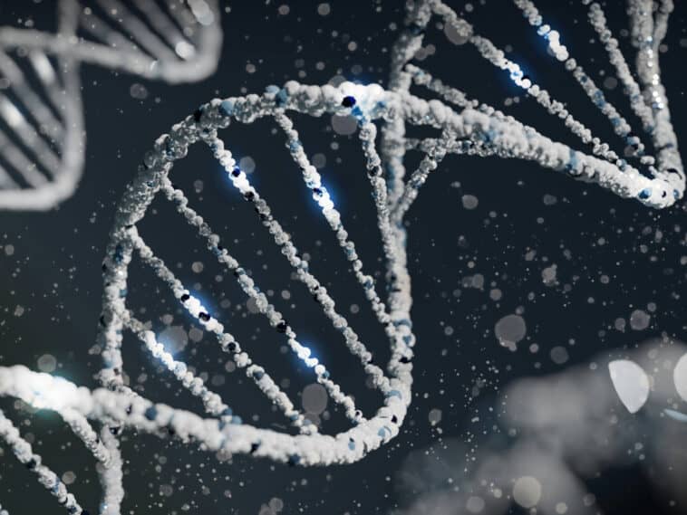 A massive new study suggests that DNA plays a significant role in shaping the personality traits that make us who we are | ©Image Credit: Unsplash / Sangharsh Lohakare