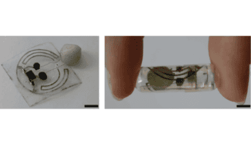 The bioresorbable battery-powered tracker shown flat (left) and packaged inside a standard swallowable gelatin capsule (right) | ©Image Credit: Say et al. / Nature Chemical Engineering, CC BY 4.0)