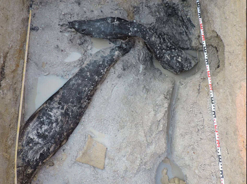 The 476,000-year-old interlocking logs uncovered in waterlogged sand at Kalambo Falls, Zambia, representing the oldest known wooden structure in the world | ©Image Credit: Cropped from Barham et al. / Nature (CC BY 4.0)