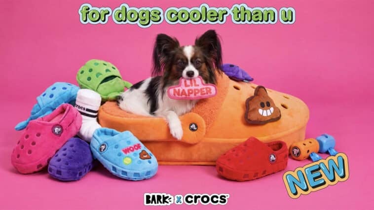 Crocs is now selling giant clog beds for dogs 1 BARK's new Crocs Snore Mode dog bed features customizable plush Jibbitz™ charms for maximum pup style. | ©Image Credit: BARK