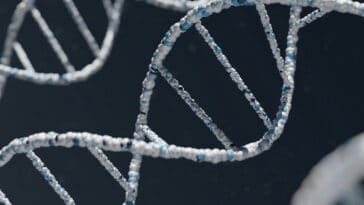 A tiny freshwater organism has repurposed two genetic stop signals to encode different amino acids, challenging a long-held assumption about how DNA works | ©Image Credit: Unsplash / Warren Umoh