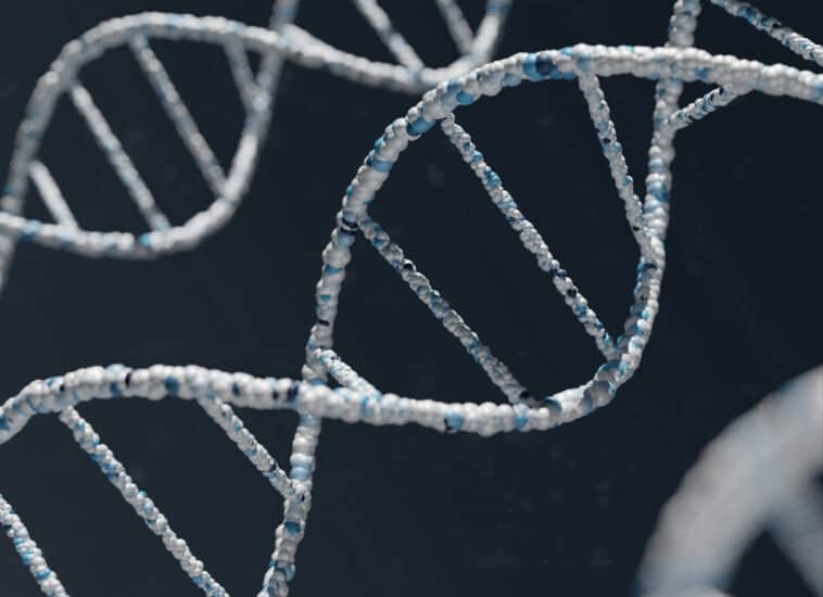 A tiny freshwater organism has repurposed two genetic stop signals to encode different amino acids, challenging a long-held assumption about how DNA works | ©Image Credit: Unsplash / Warren Umoh