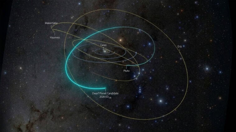 Scientists discover massive new dwarf planet near Pluto 1 A computer-generated rendering shows the tilted orbital paths of recognized dwarf planets alongside newly discovered candidate ED138. | ©Image Credit: NSF–DOE Vera C. Rubin Observatory/NOIRLab/SLAC/AURA/R. Proctor