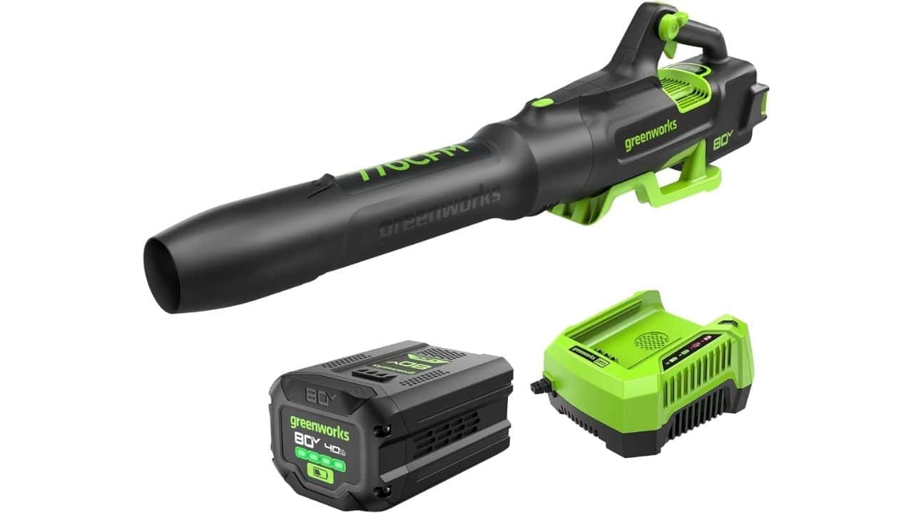 Greenworks 80V Electric Leaf Blower ©Image Credit: Greenworks