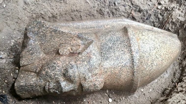 The newly discovered red-granite head of King Ramses II at the excavation site in Gharbia province | ©Image Credit: Ministry of Tourism and Antiquities (Egypt)