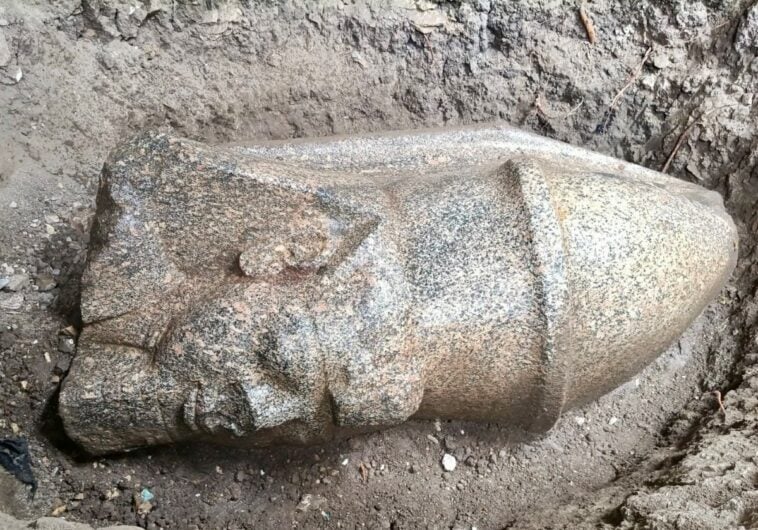 The newly discovered red-granite head of King Ramses II at the excavation site in Gharbia province | ©Image Credit: Ministry of Tourism and Antiquities (Egypt)