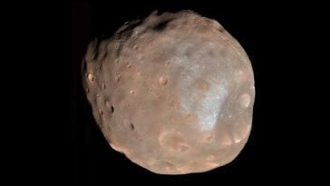 Japan plans to bring Phobos samples back to Earth in 2031. Scientists hope the samples can explain how Mars' two moons came to be. | ©Image Credit: NASA