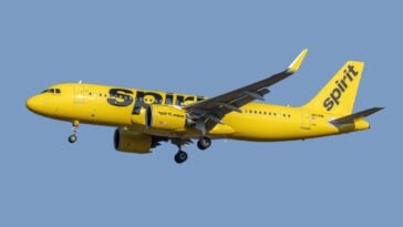 Google's proposed purchase of Spirit Airlines records for AI training has drawn concern from 119 lawmakers over employee privacy. | ©Image Credit: Acroterion / Wikimedia Commons