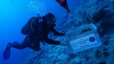 Artifacts from the newly discovered 4,700-year-old shipwreck heading to a Turkish museum | ©Image Credit: Hakan Öniz