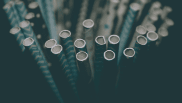 While paper straws are widely seen as eco-friendly, a new study found standard plastic straws had a smaller impact in 10 of 16 categories | ©Image Credit: Unsplash / Jason D