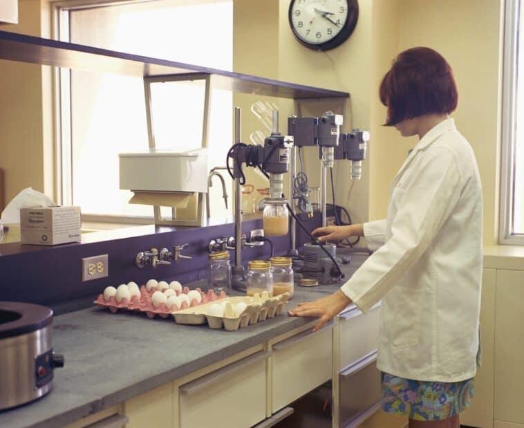 Lab-grown eggs are quietly hitting Walmart and Target shelves 1 Contrary to claims that safety checks were skipped, EVERY submitted safety data under the FDA's voluntary GRAS (Generally Recognized As Safe) process and received a formal "no questions" letter. ©Image Credit: Unsplash / Provincial Archives of Alberta