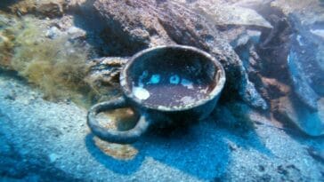 An ancient Greek drinking cup lies in situ on the seabed alongside preserved wooden hull timbers at the 2,300-year-old Gnjilna Bay shipwreck off the island of Vis, Croatia | ©Image Credit: Jurica Bezak / Croatian Conservation Institute (HRZ)